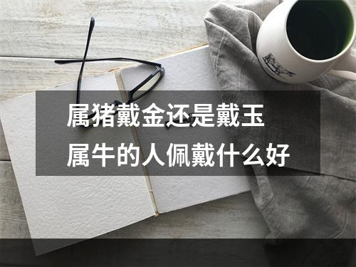 属猪戴金还是戴玉 属牛的人佩戴什么好