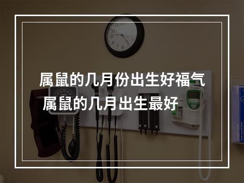 属鼠的几月份出生好福气 属鼠的几月出生最好
