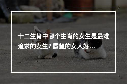 十二生肖中哪个生肖的女生是最难追求的女生? 属鼠的女人好不好追
