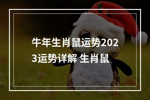 牛年生肖鼠运势2023运势详解 生肖鼠