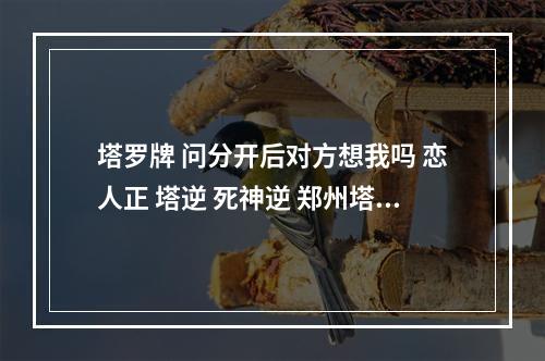 塔罗牌 问分开后对方想我吗 恋人正 塔逆 死神逆 郑州塔罗牌占卜实体店