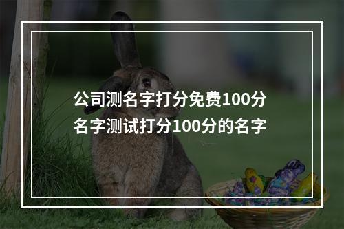 公司测名字打分免费100分 名字测试打分100分的名字