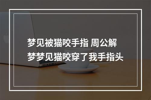 梦见被猫咬手指 周公解梦梦见猫咬穿了我手指头