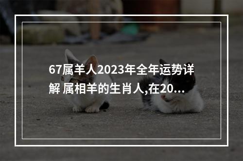 67属羊人2023年全年运势详解 属相羊的生肖人,在2023年的事业和爱情的运势怎么样?