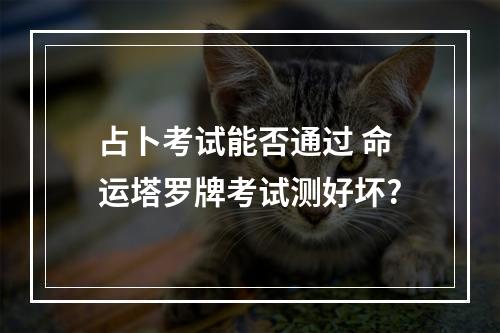 占卜考试能否通过 命运塔罗牌考试测好坏?