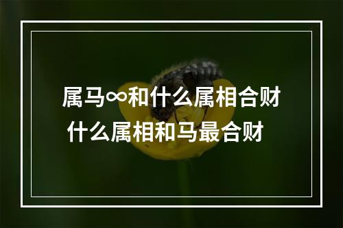 属马∞和什么属相合财 什么属相和马最合财