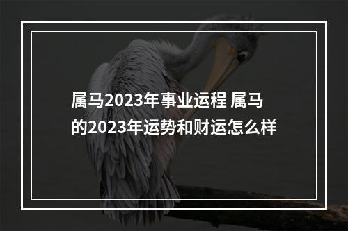 属马2023年事业运程 属马的2023年运势和财运怎么样