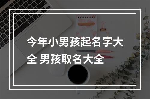 今年小男孩起名字大全 男孩取名大全