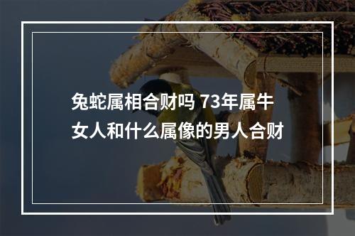 兔蛇属相合财吗 73年属牛女人和什么属像的男人合财