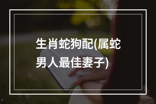 生肖蛇狗配(属蛇男人最佳妻子)