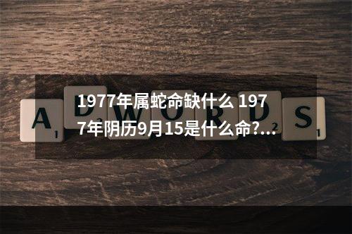 1977年属蛇命缺什么 1977年阴历9月15是什么命?五行缺啥?