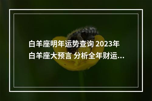 白羊座明年运势查询 2023年白羊座大预言 分析全年财运如何