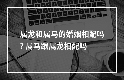 属龙和属马的婚姻相配吗? 属马跟属龙相配吗