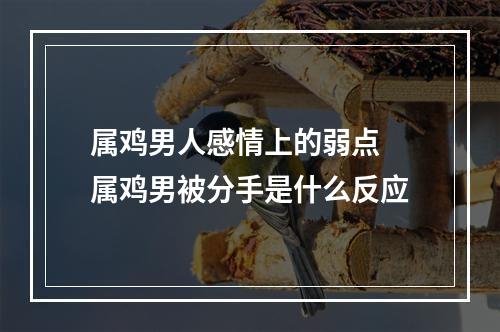 属鸡男人感情上的弱点 属鸡男被分手是什么反应