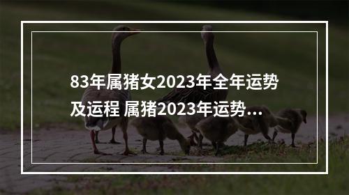 83年属猪女2023年全年运势及运程 属猪2023年运势及运程每月运程