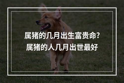 属猪的几月出生富贵命? 属猪的人几月出世最好