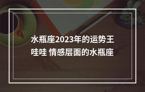 水瓶座2023年的运势王哇哇 情感层面的水瓶座