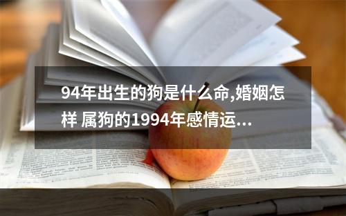 94年出生的狗是什么命,婚姻怎样 属狗的1994年感情运势