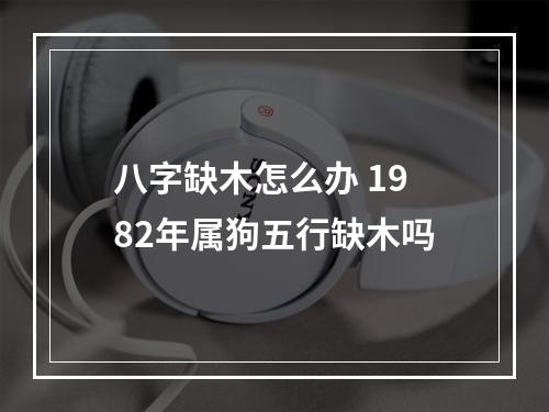 八字缺木怎么办 1982年属狗五行缺木吗