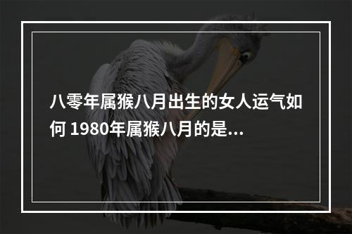 八零年属猴八月出生的女人运气如何 1980年属猴八月的是什么命