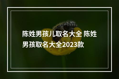 陈姓男孩儿取名大全 陈姓男孩取名大全2023款