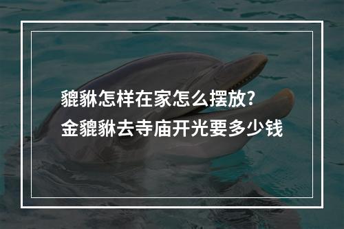 貔貅怎样在家怎么摆放? 金貔貅去寺庙开光要多少钱