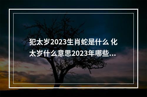 犯太岁2023生肖蛇是什么 化太岁什么意思2023年哪些人需要化太岁