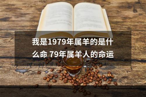 我是1979年属羊的是什么命 79年属羊人的命运