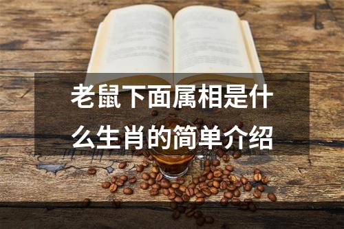 老鼠下面属相是什么生肖的简单介绍