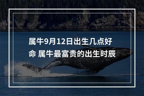属牛9月12日出生几点好命 属牛最富贵的出生时辰