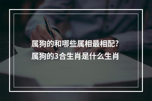 属狗的和哪些属相最相配? 属狗的3合生肖是什么生肖