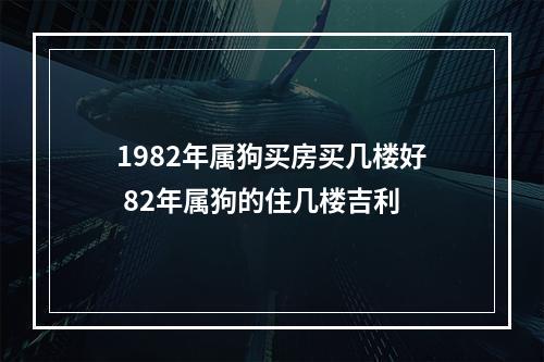 1982年属狗买房买几楼好 82年属狗的住几楼吉利