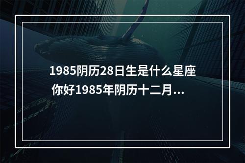 1985阴历28日生是什么星座 你好1985年阴历十二月28的生日是什么星座
