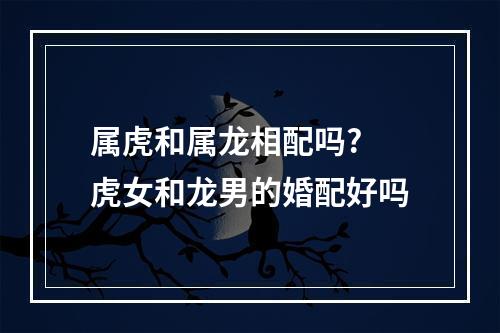 属虎和属龙相配吗? 虎女和龙男的婚配好吗