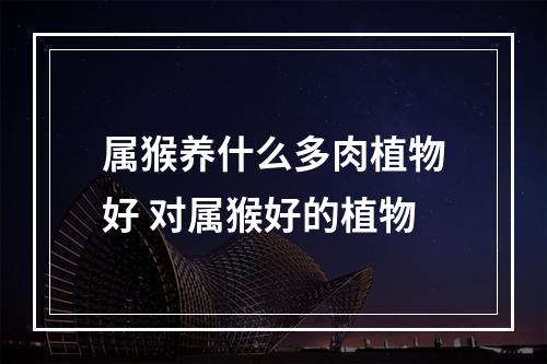 属猴养什么多肉植物好 对属猴好的植物