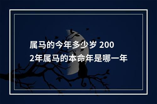 属马的今年多少岁 2002年属马的本命年是哪一年