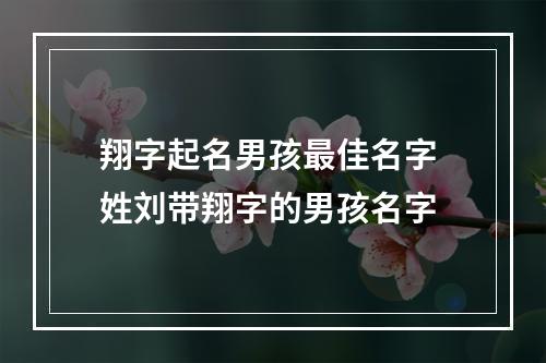 翔字起名男孩最佳名字 姓刘带翔字的男孩名字