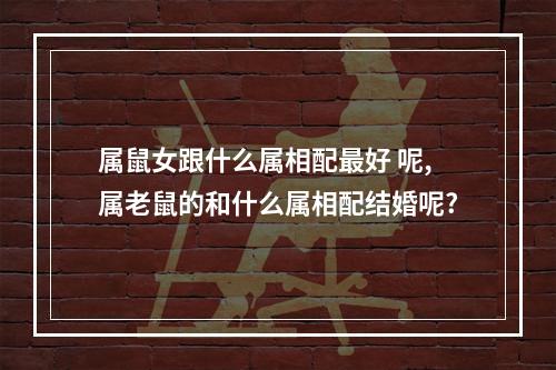 属鼠女跟什么属相配最好 呢,属老鼠的和什么属相配结婚呢?