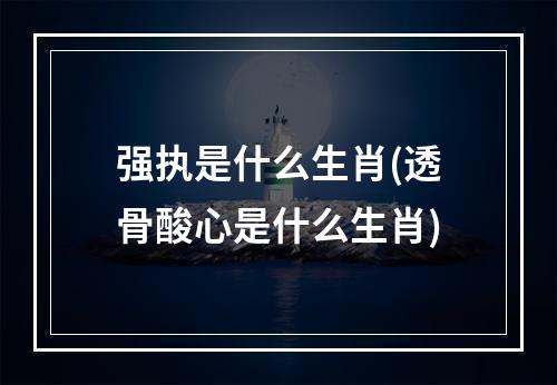 强执是什么生肖(透骨酸心是什么生肖)