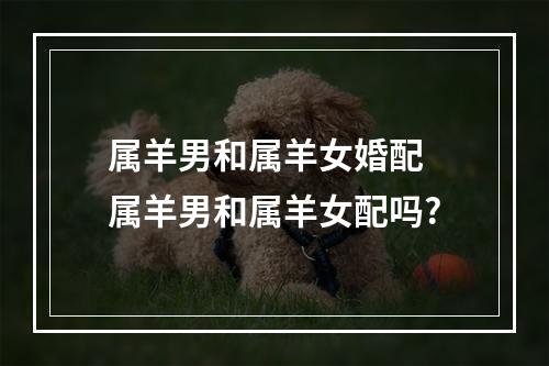 属羊男和属羊女婚配 属羊男和属羊女配吗?