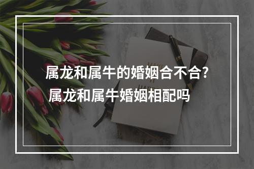 属龙和属牛的婚姻合不合? 属龙和属牛婚姻相配吗