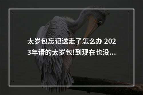太岁包忘记送走了怎么办 2023年请的太岁包!到现在也没处理!应该怎么整啊烧了还是埋了?