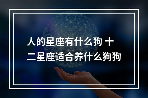 人的星座有什么狗 十二星座适合养什么狗狗