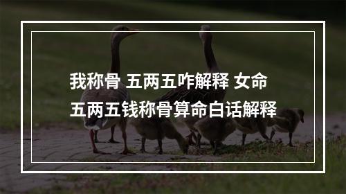 我称骨 五两五咋解释 女命五两五钱称骨算命白话解释