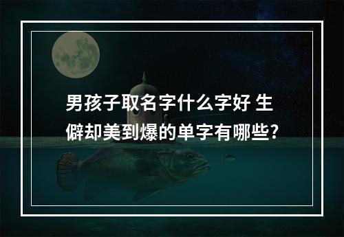 男孩子取名字什么字好 生僻却美到爆的单字有哪些?
