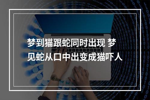 梦到猫跟蛇同时出现 梦见蛇从口中出变成猫吓人
