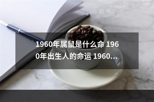 1960年属鼠是什么命 1960年出生人的命运 1960年属鼠最终寿命