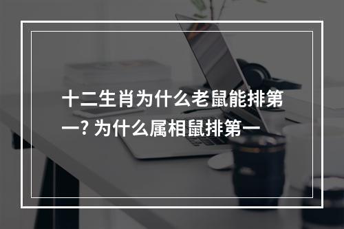 十二生肖为什么老鼠能排第一? 为什么属相鼠排第一