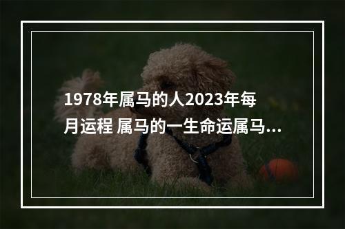 1978年属马的人2023年每月运程 属马的一生命运属马的人一生命运如何