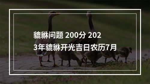 貔貅问题 200分 2023年貔貅开光吉日农历7月